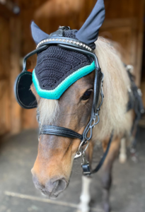 SkijorPony