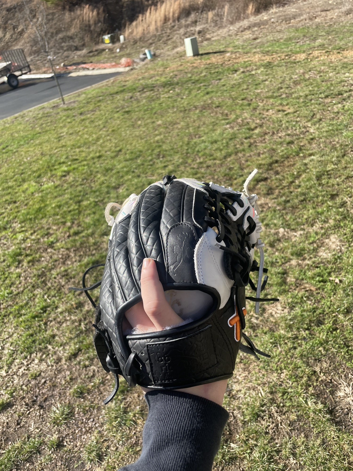 Aria Custom Glove SidelineSwap