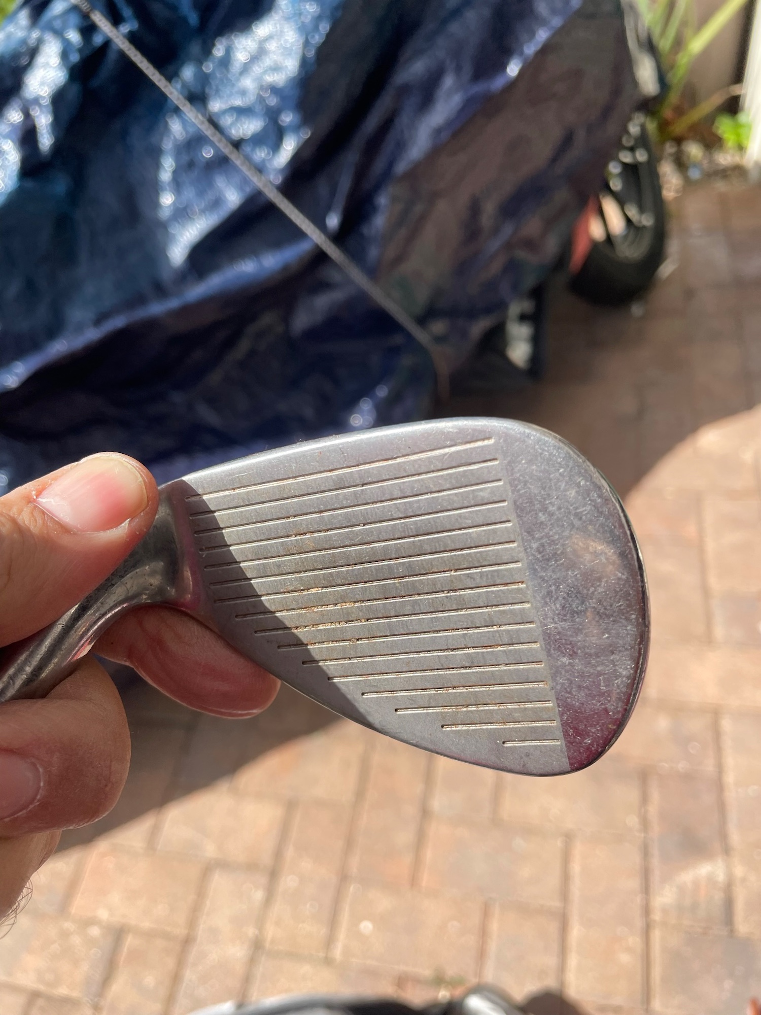 Adams idea golf Gap Wedge Womens Flex SidelineSwap