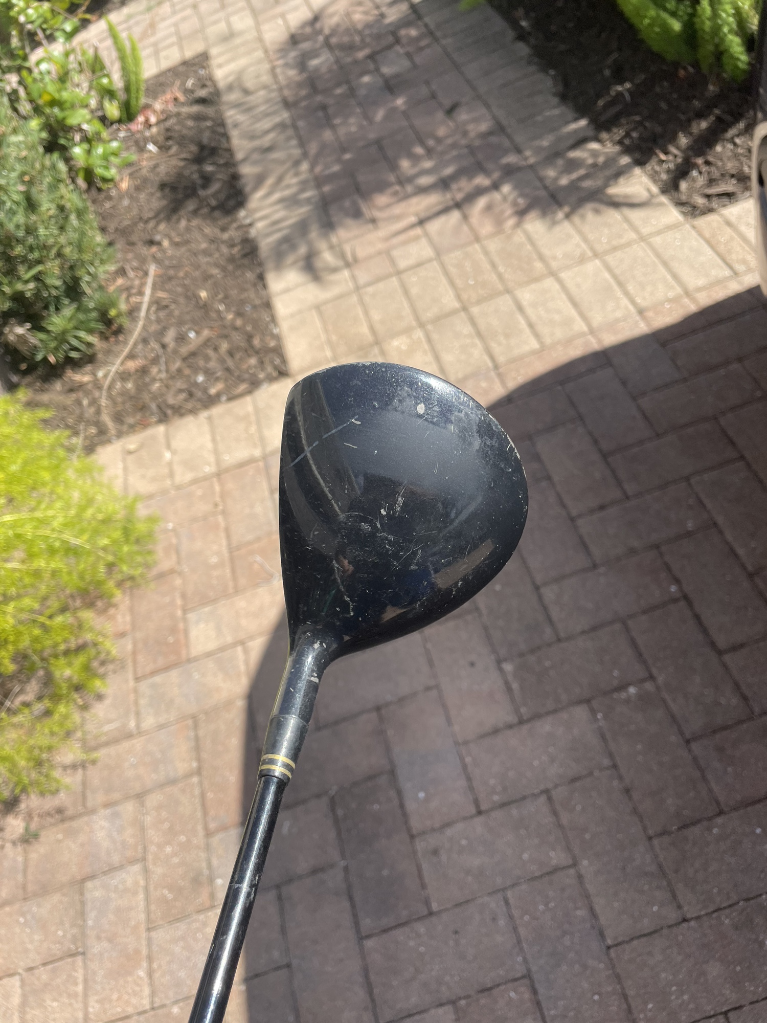Golf Driver Killer Bee 2 In Right Handed SidelineSwap
