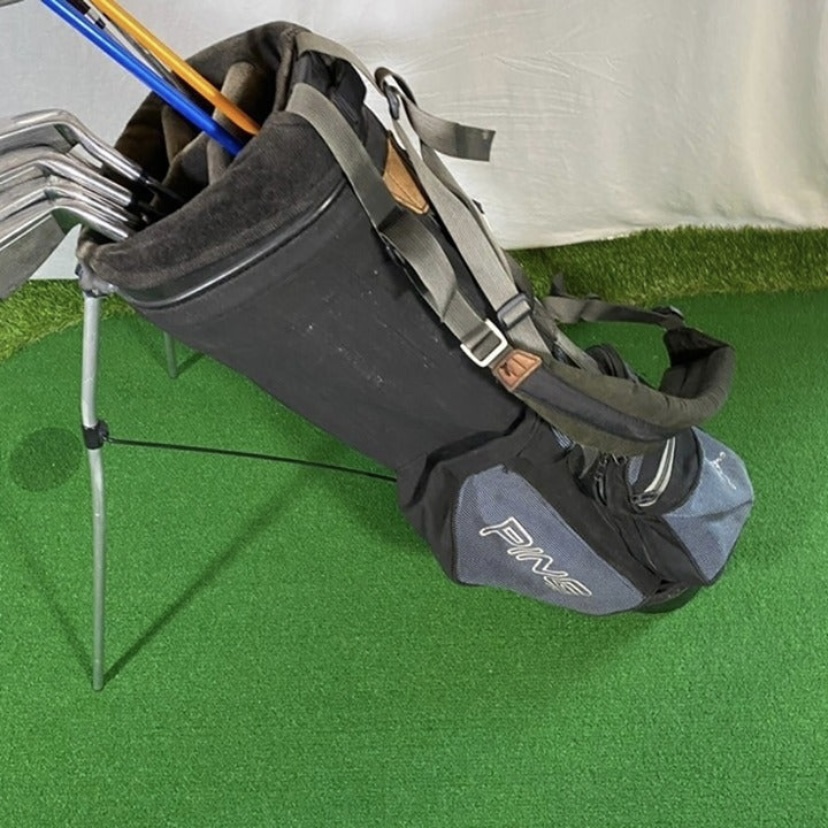 Ping and Top Flite Golf Club Complete Set With Ping Hoofer Stand Bag SidelineSwap