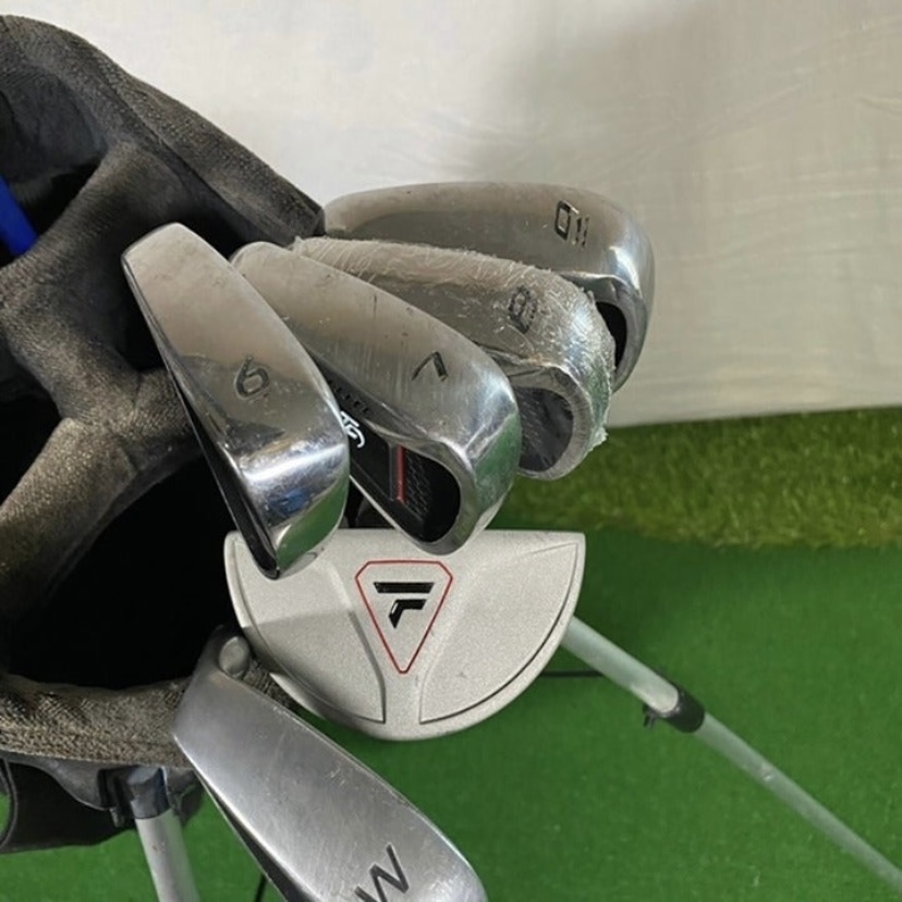 Ping and Top Flite Golf Club Complete Set With Ping Hoofer Stand Bag SidelineSwap