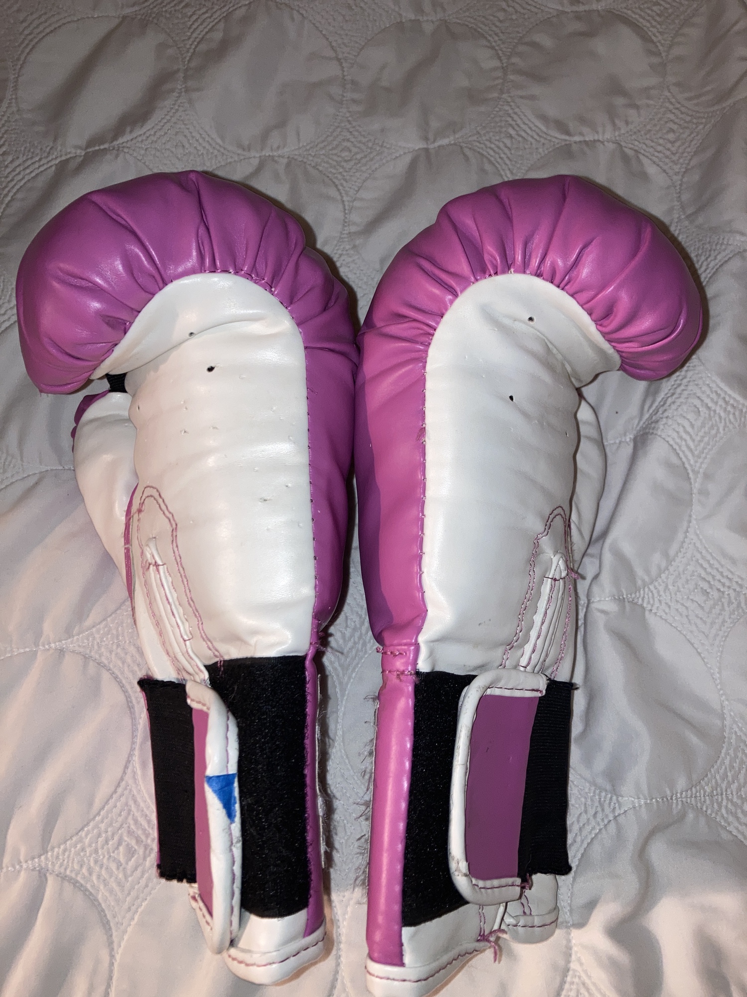 Pink everlast boxing gloves SidelineSwap