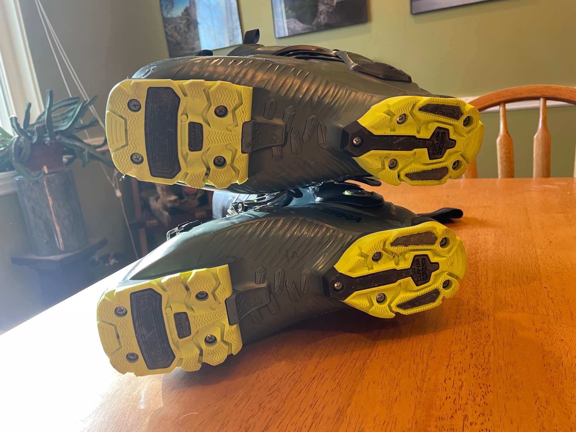 dalbello panterra mx 90 ski boots