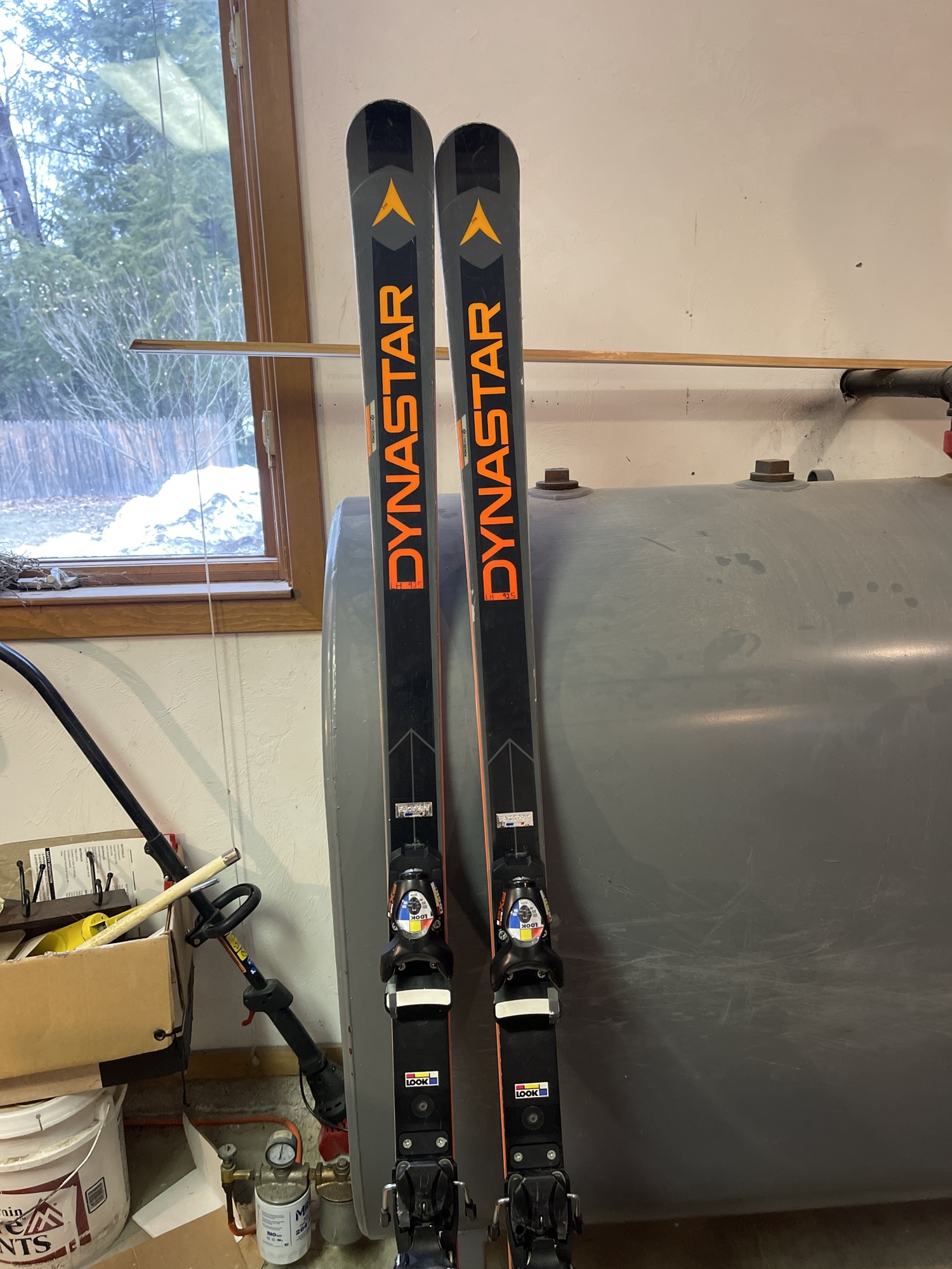 Dynastar World Cup Sticker Gs Skis SidelineSwap