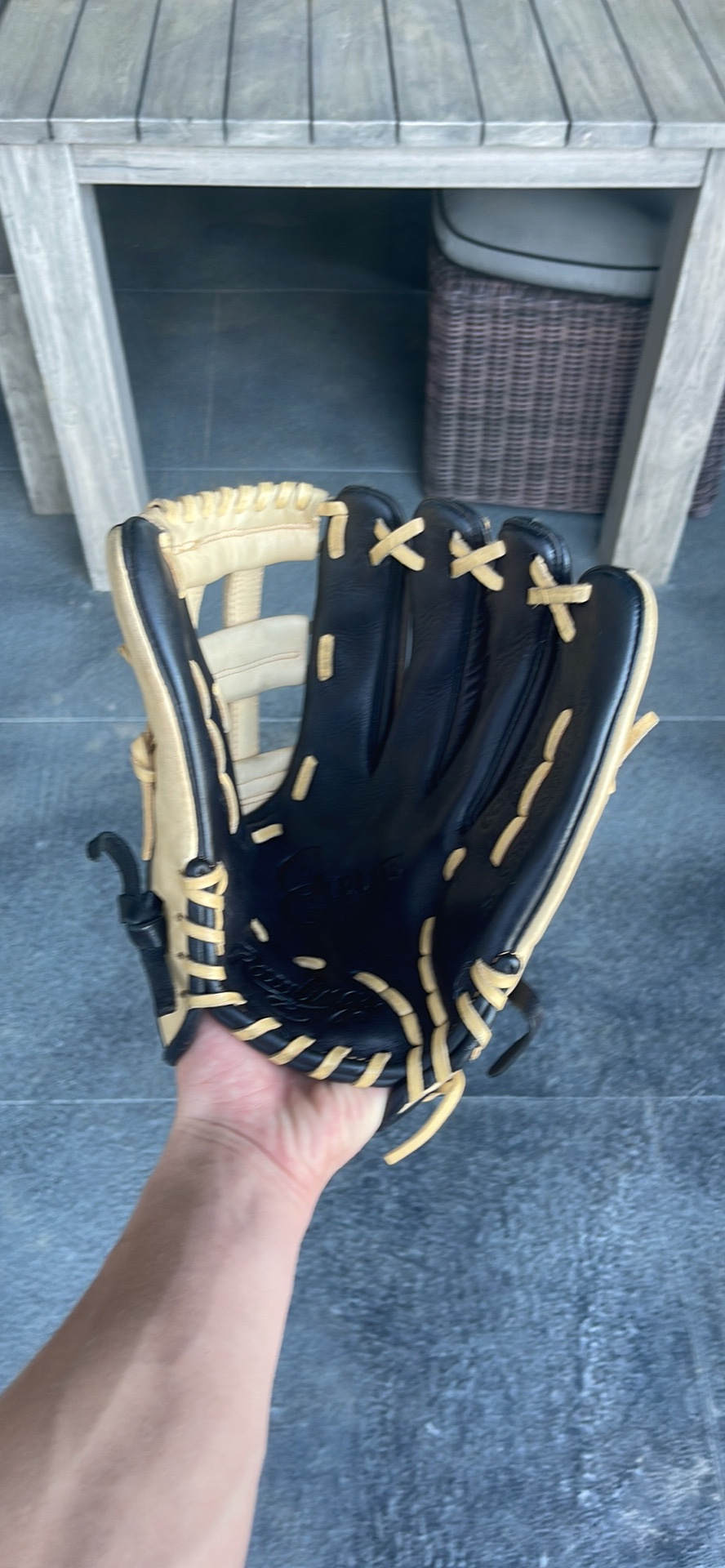 Rawlings Golden glove elite SidelineSwap