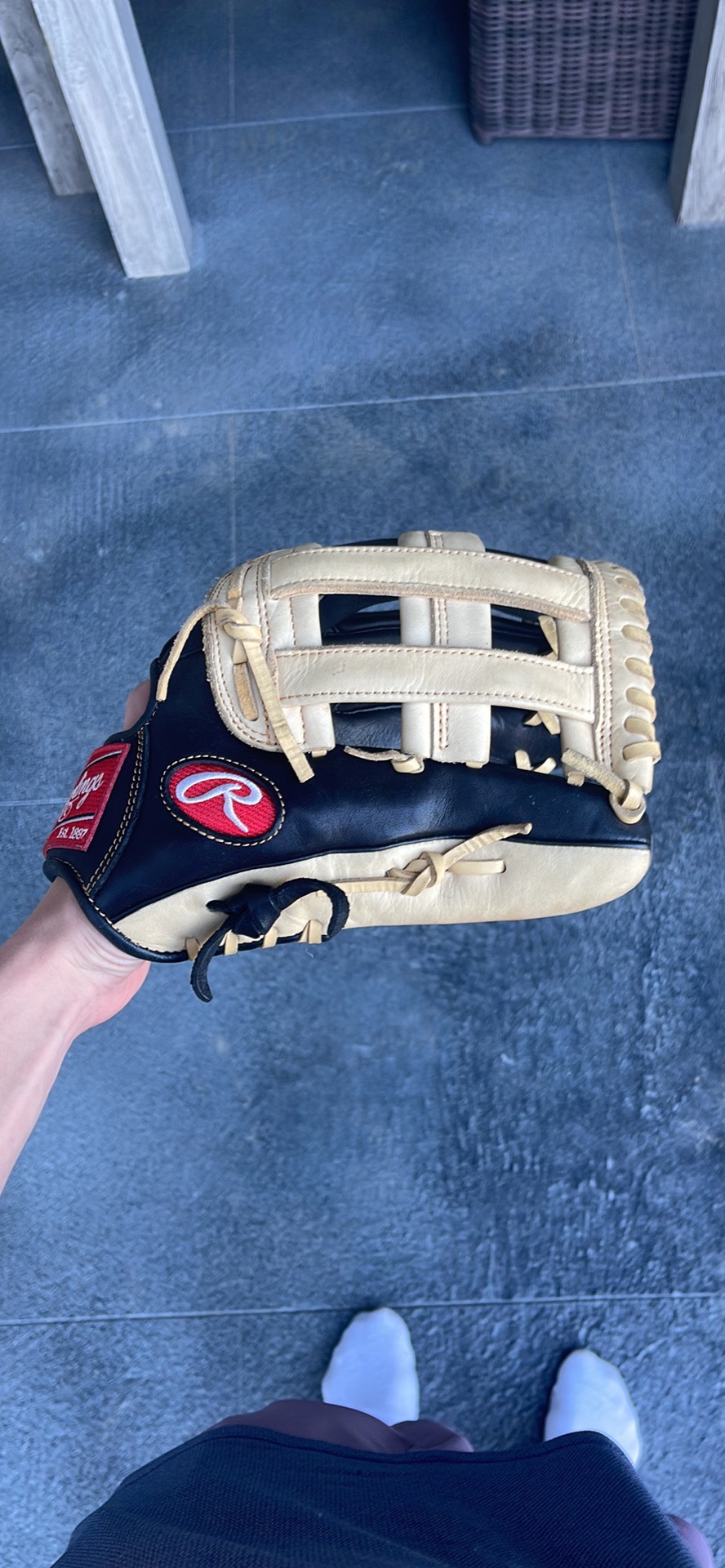 Rawlings Golden glove elite SidelineSwap