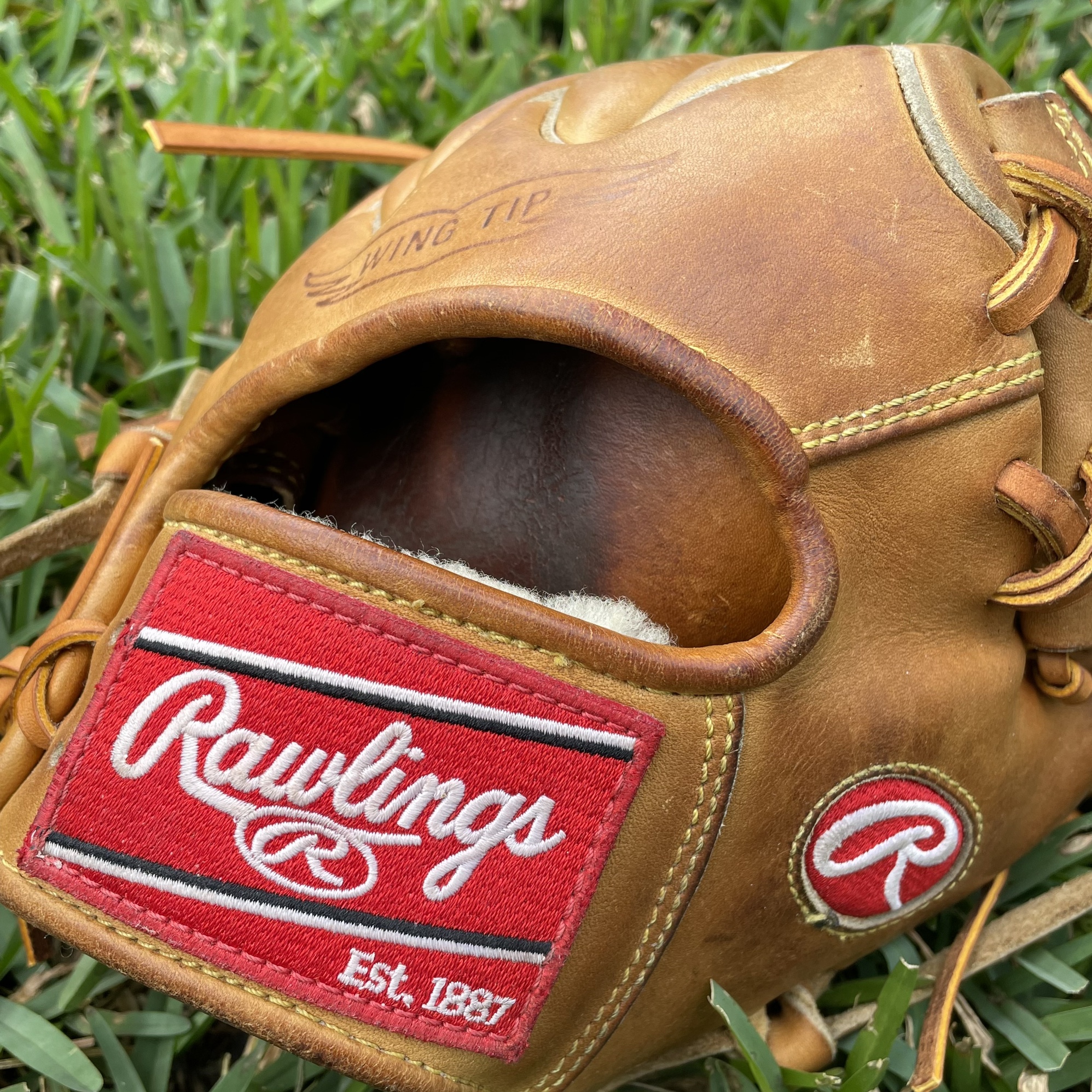 Rawlings Heart of the Hide Pro Label 3 11.5 Inch Horween Wing Tip