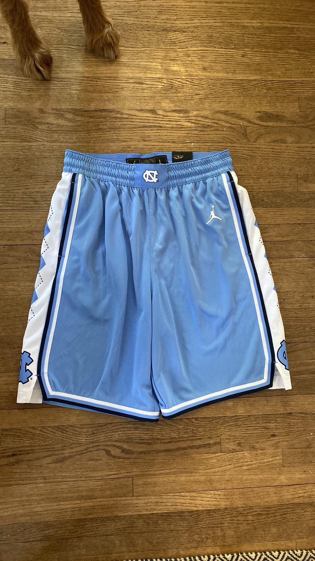 Jordan College DriFit UNC Basketball Shorts SidelineSwap