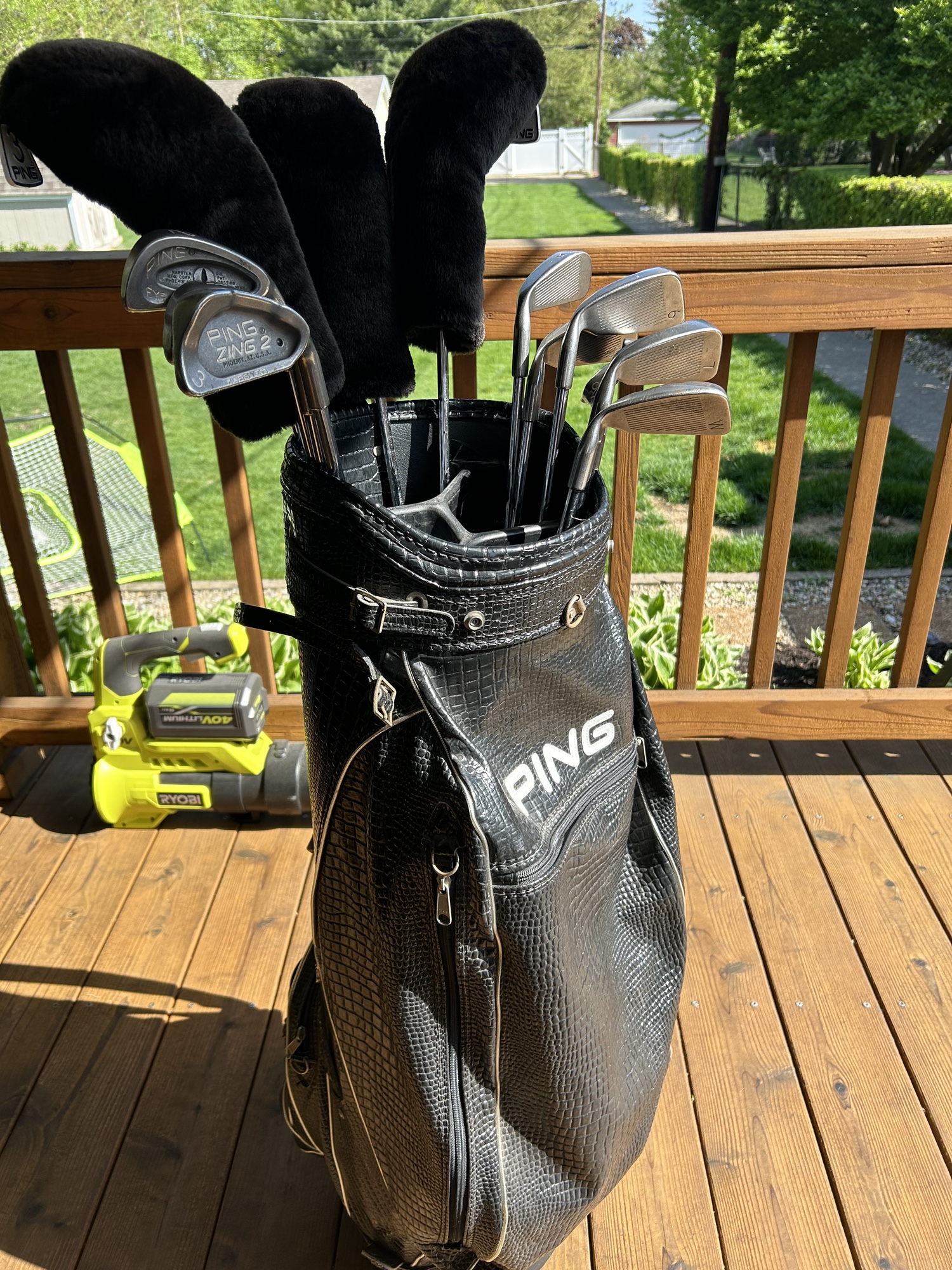 Used Ping Zing 2 + Eye 2 Golf Clubs + Bag (Full Set) SidelineSwap