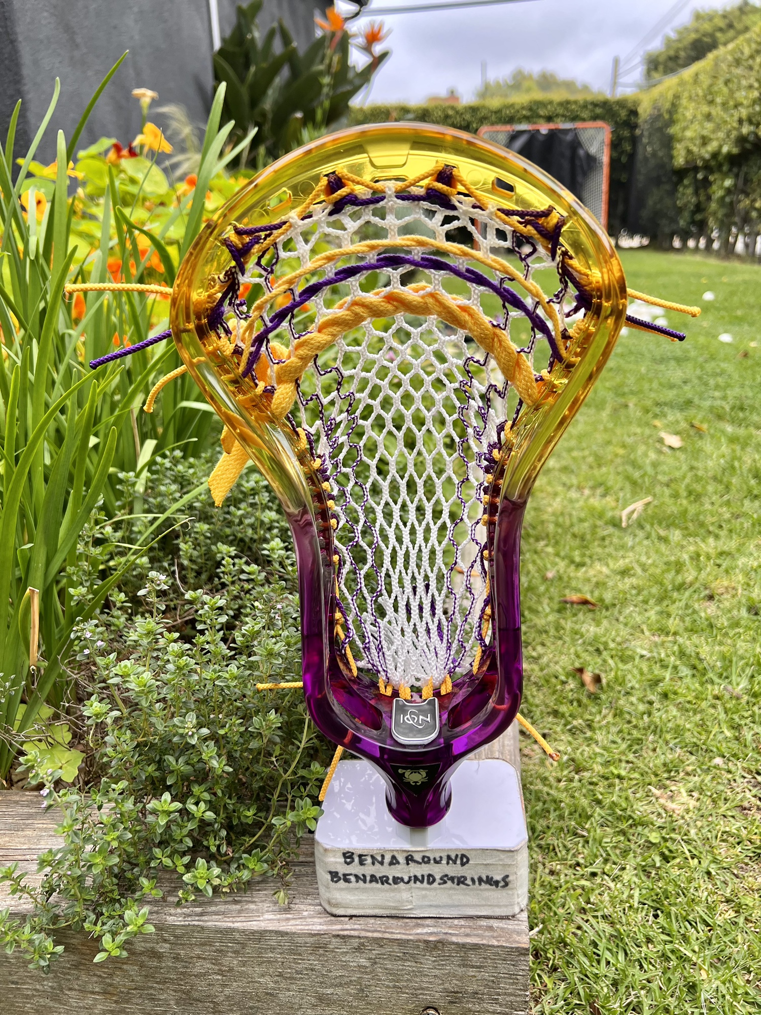 ECD Ion Dyed Gold & Purple Pro Strung W/ Hero 3.0 Semi Soft