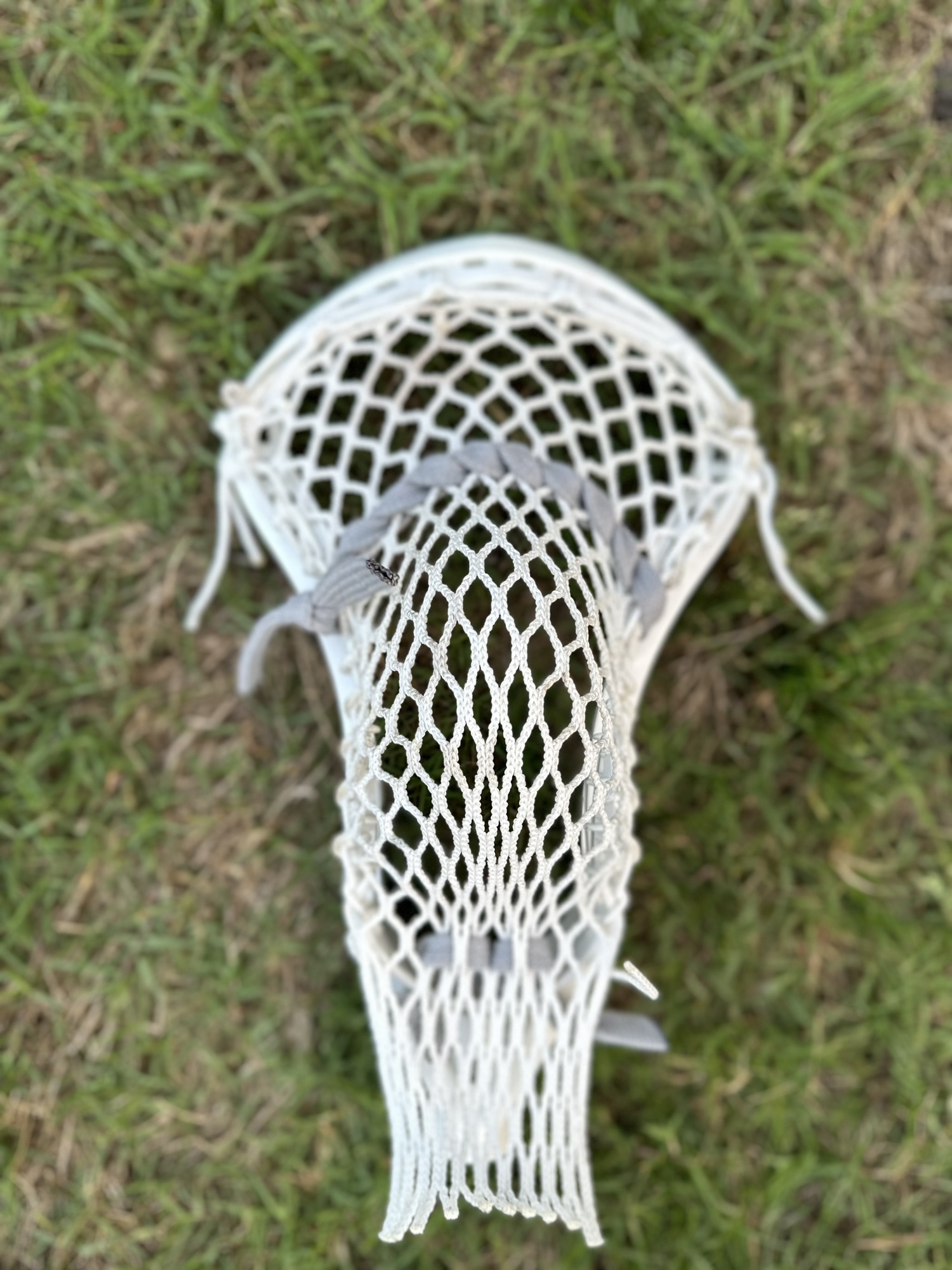 Original Gait Torque W/ Stringking 4x SidelineSwap