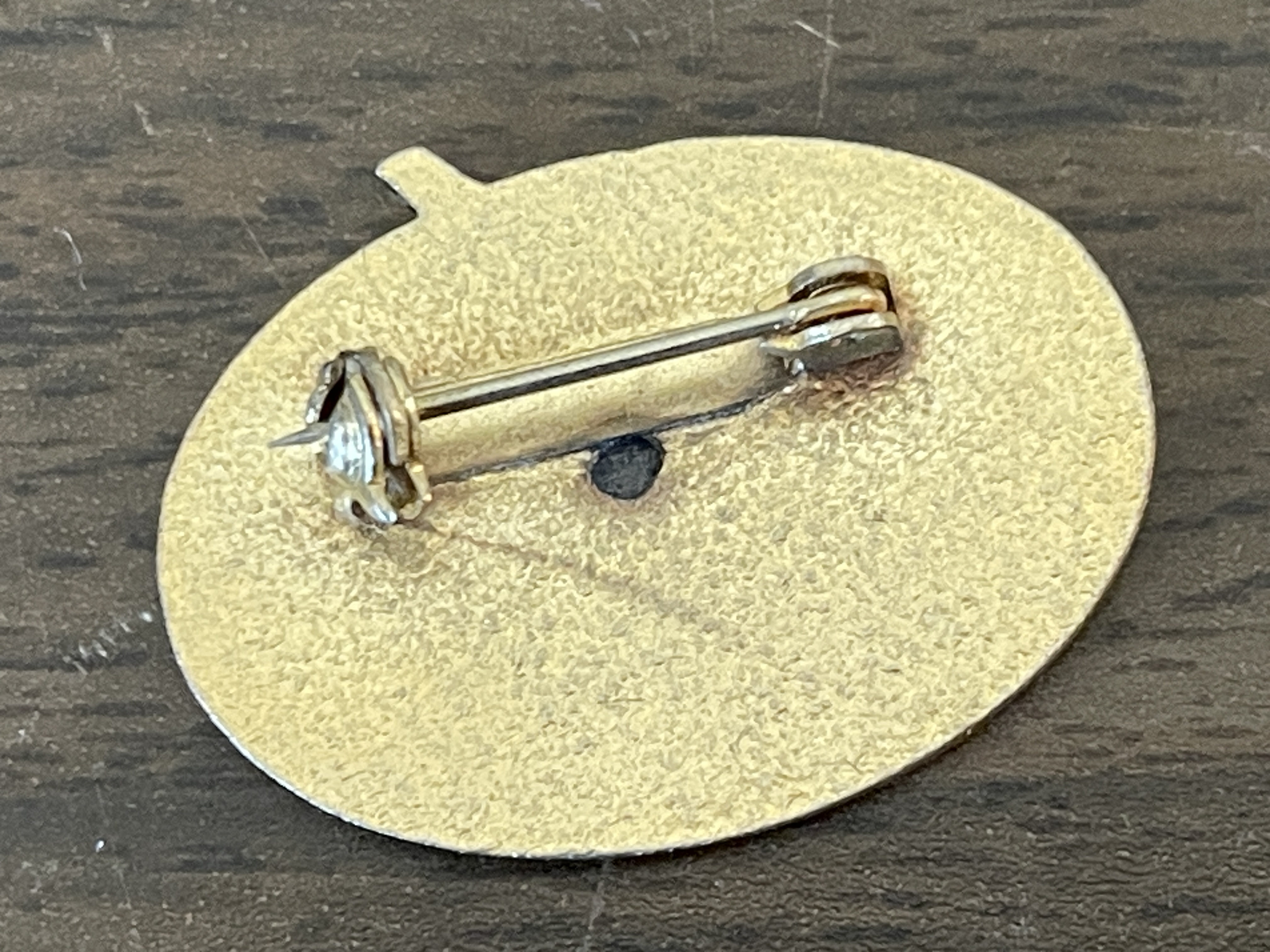 Sundial Lawn Bowls Club SUN CITY, ARIZONA SUPER VINTAGE Bowling Lapel