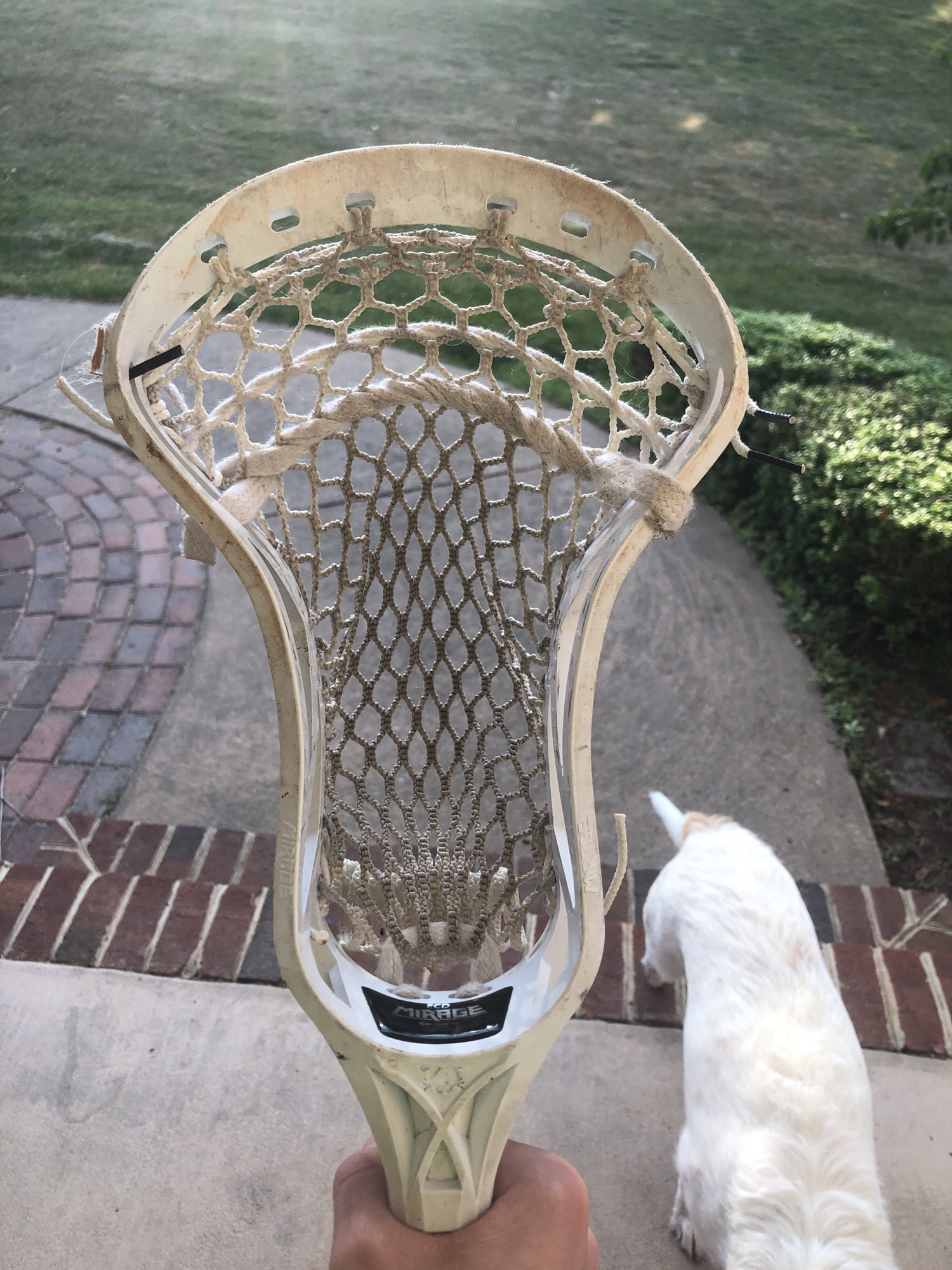 Used Mens ECD Mirage Head With CF5 Shaft SidelineSwap