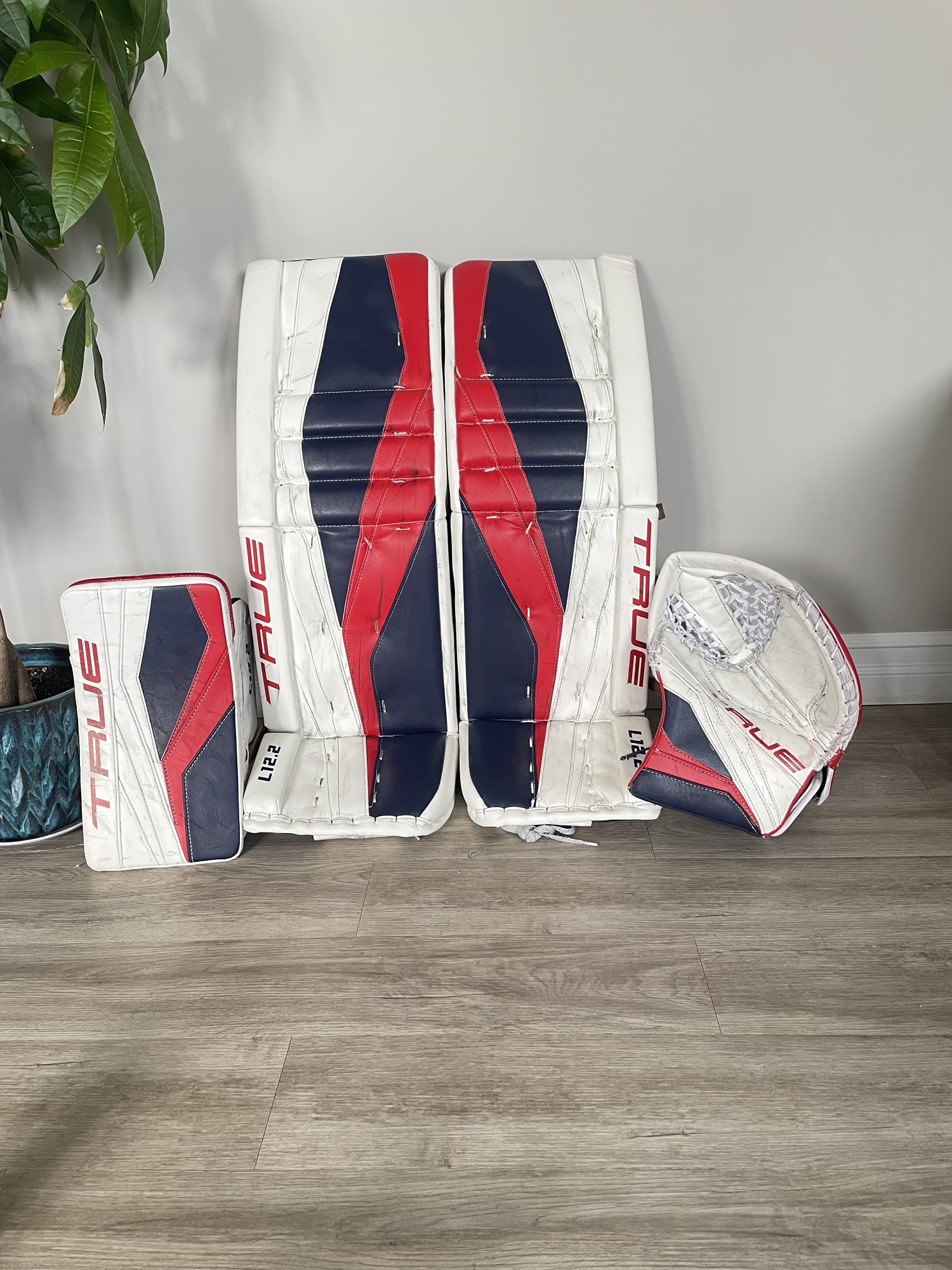 Pro Stock Goalie Equipment For Sale, Bauer True Etc SidelineSwap