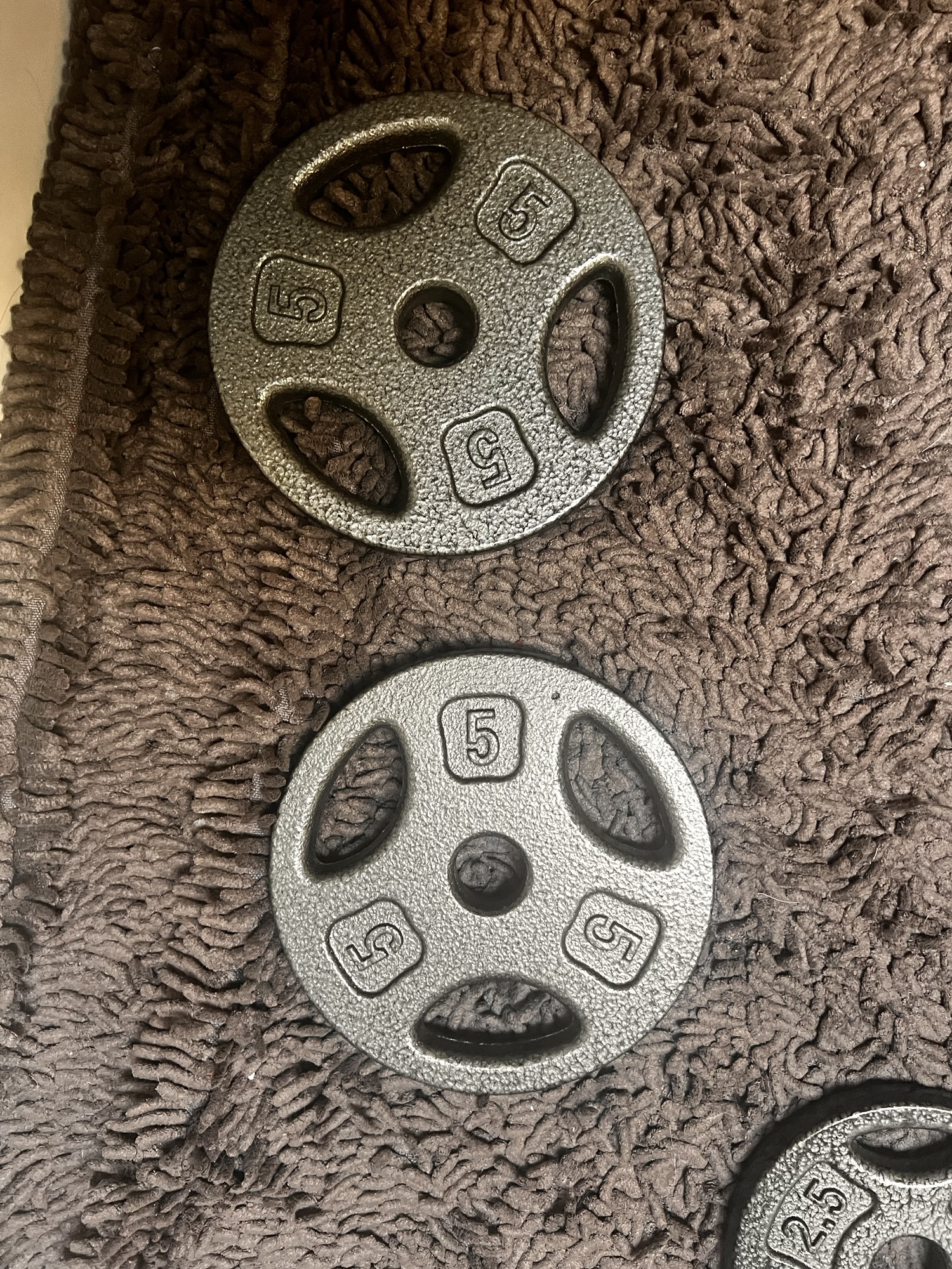 New Fitness Gear Plate 1 Inch SidelineSwap