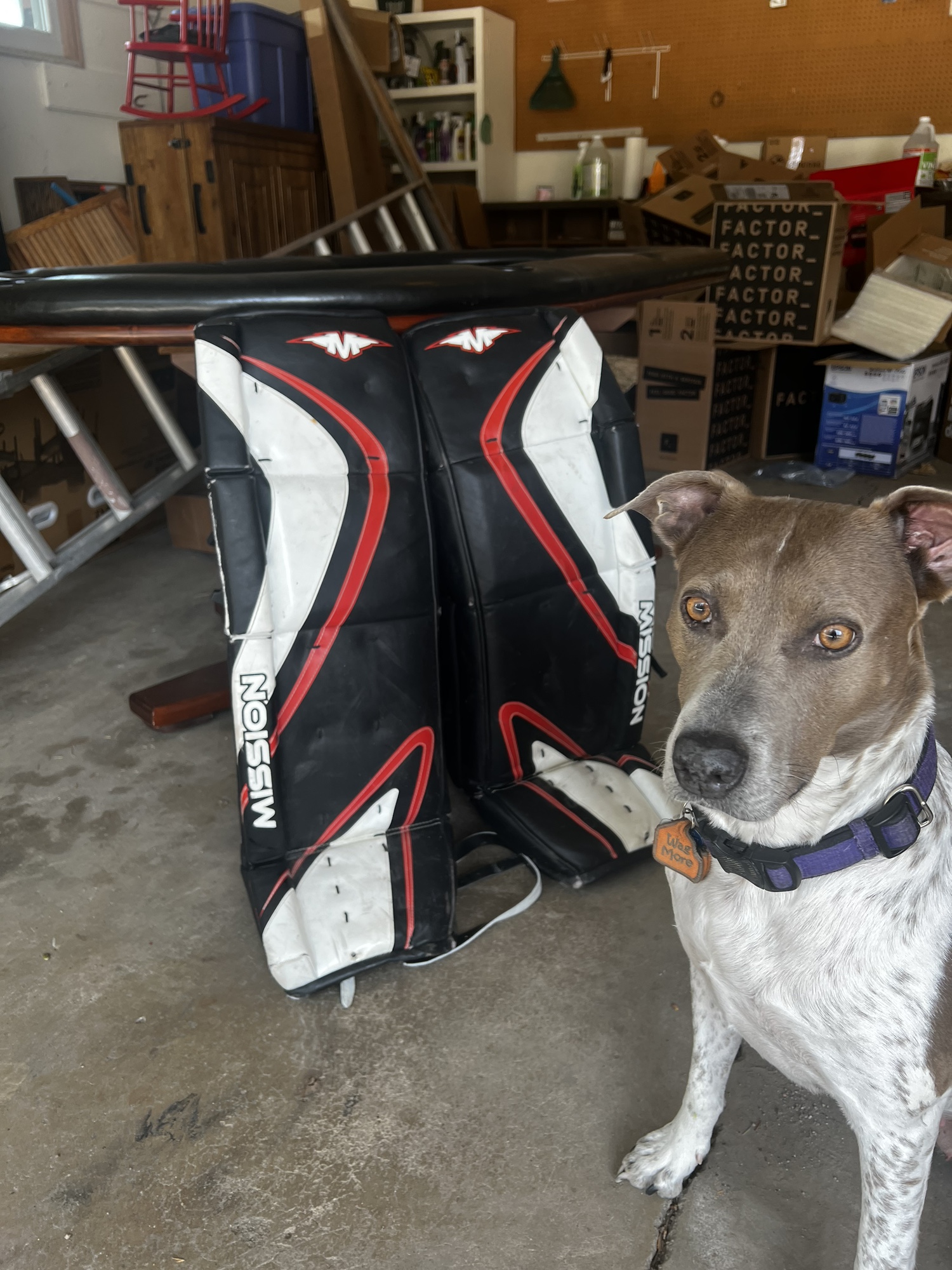 UltraRare 36" Mission Pro Stock Inline Goalie Leg Pads SidelineSwap