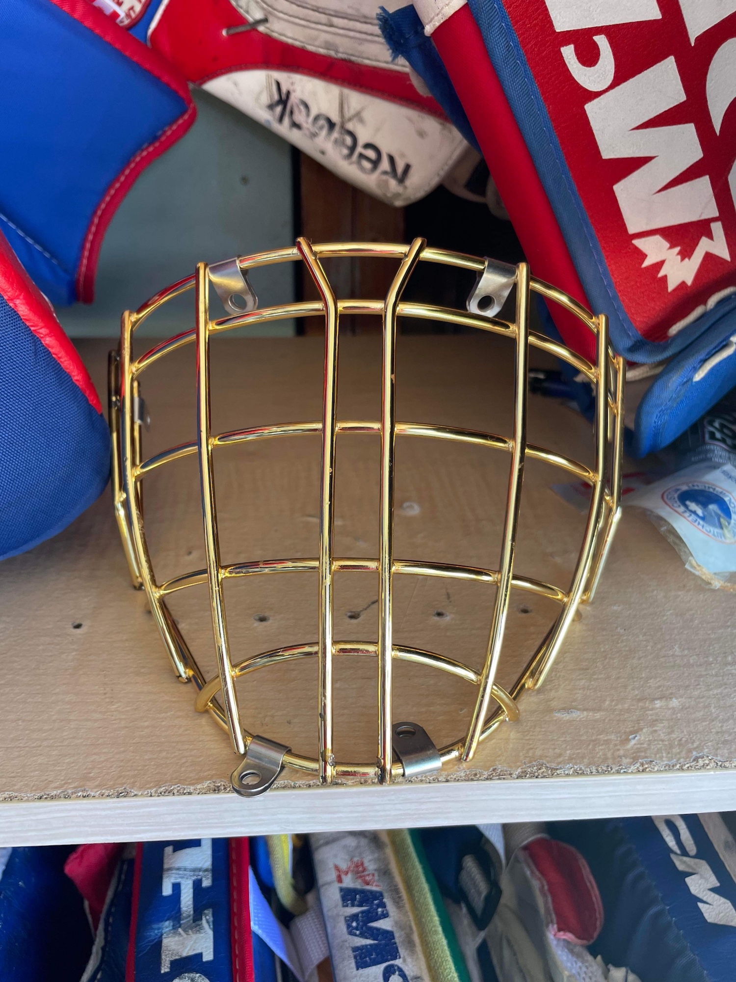 Eddy Hockey Goalie Mask Replacement Cage SidelineSwap