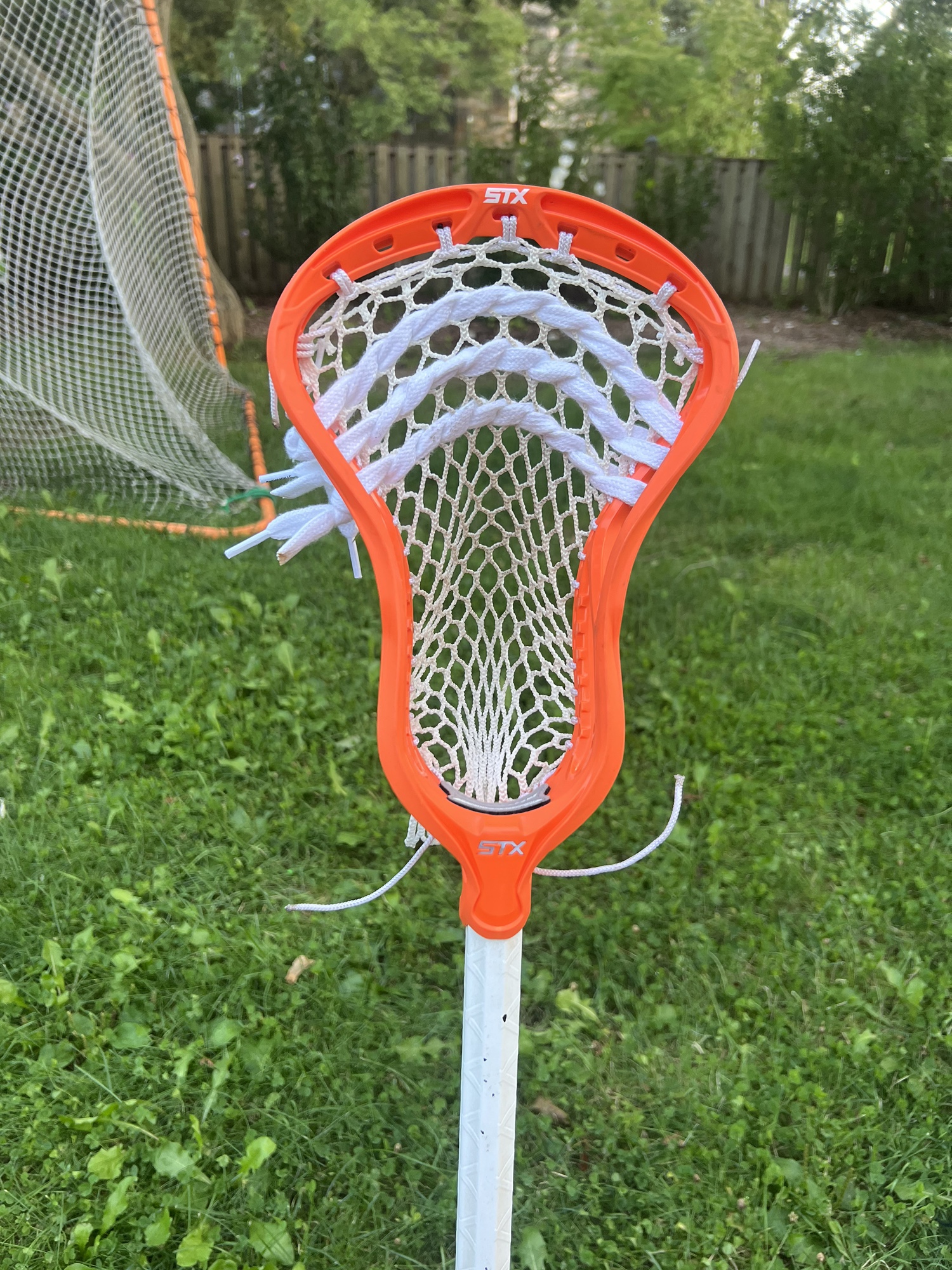 Like New STX Stallion 900 Lacrosse Head On A Ecd Carbon 2.0 Speed