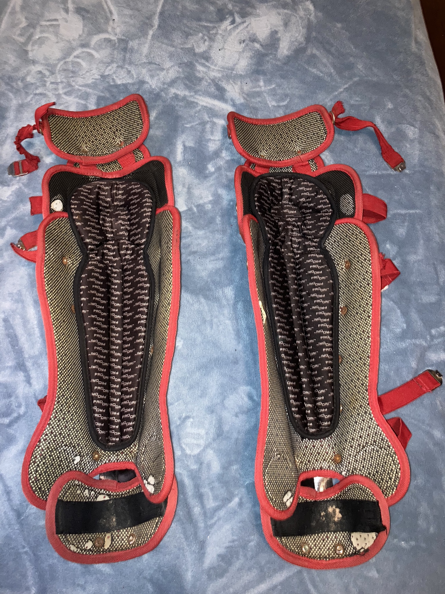 Gently Used Chest Protector and Leg Guards SidelineSwap