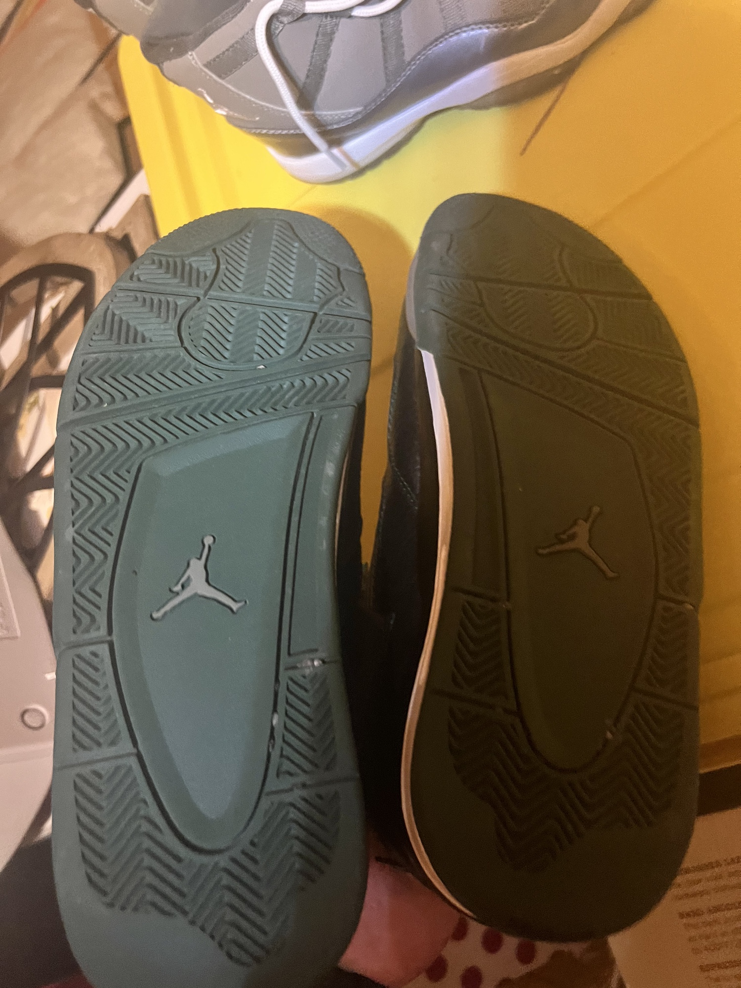 oregon jordan 4s