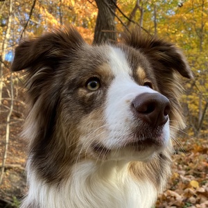 mnovotny97