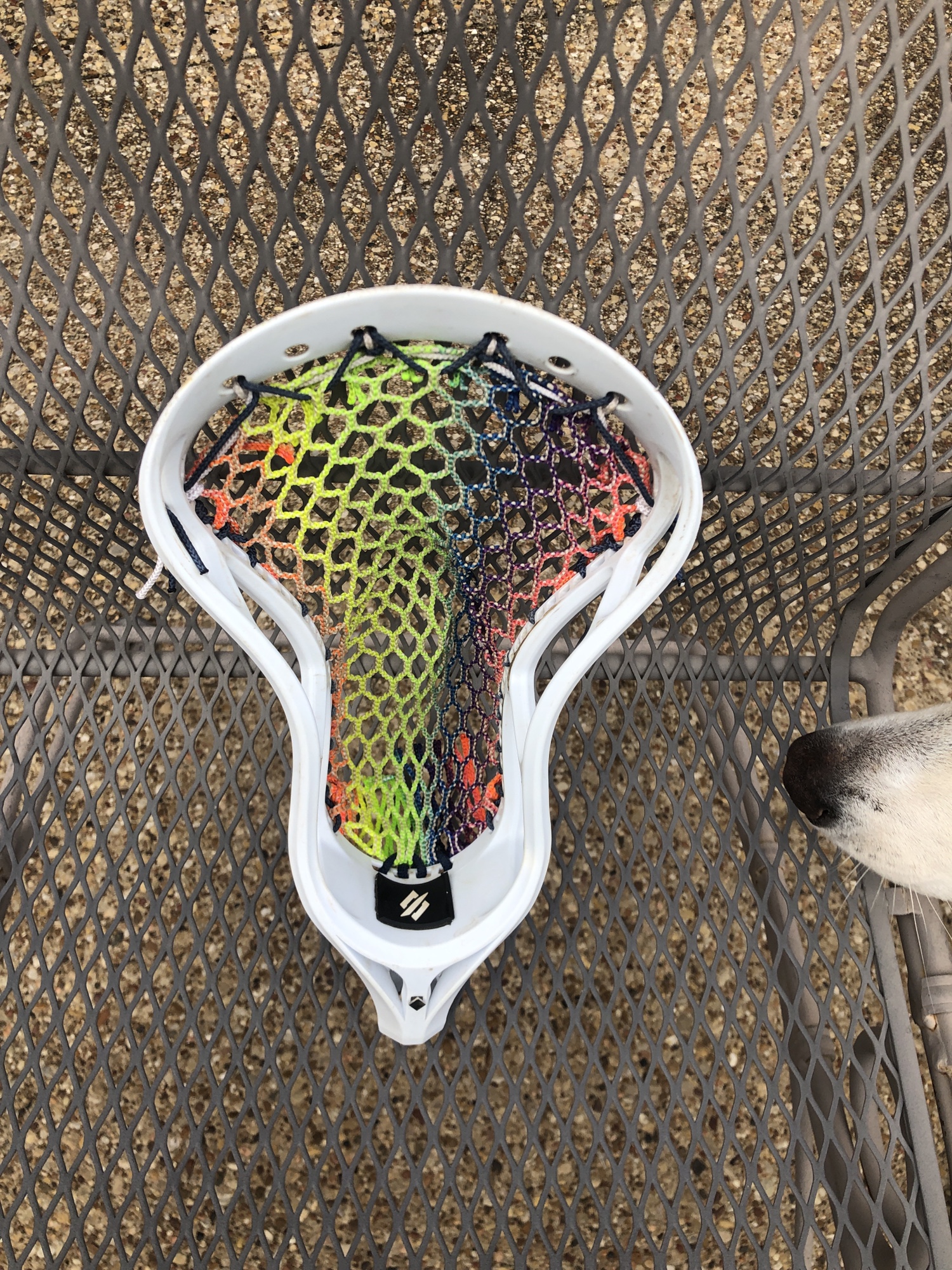 StringKing Legend Intermediate Head SidelineSwap