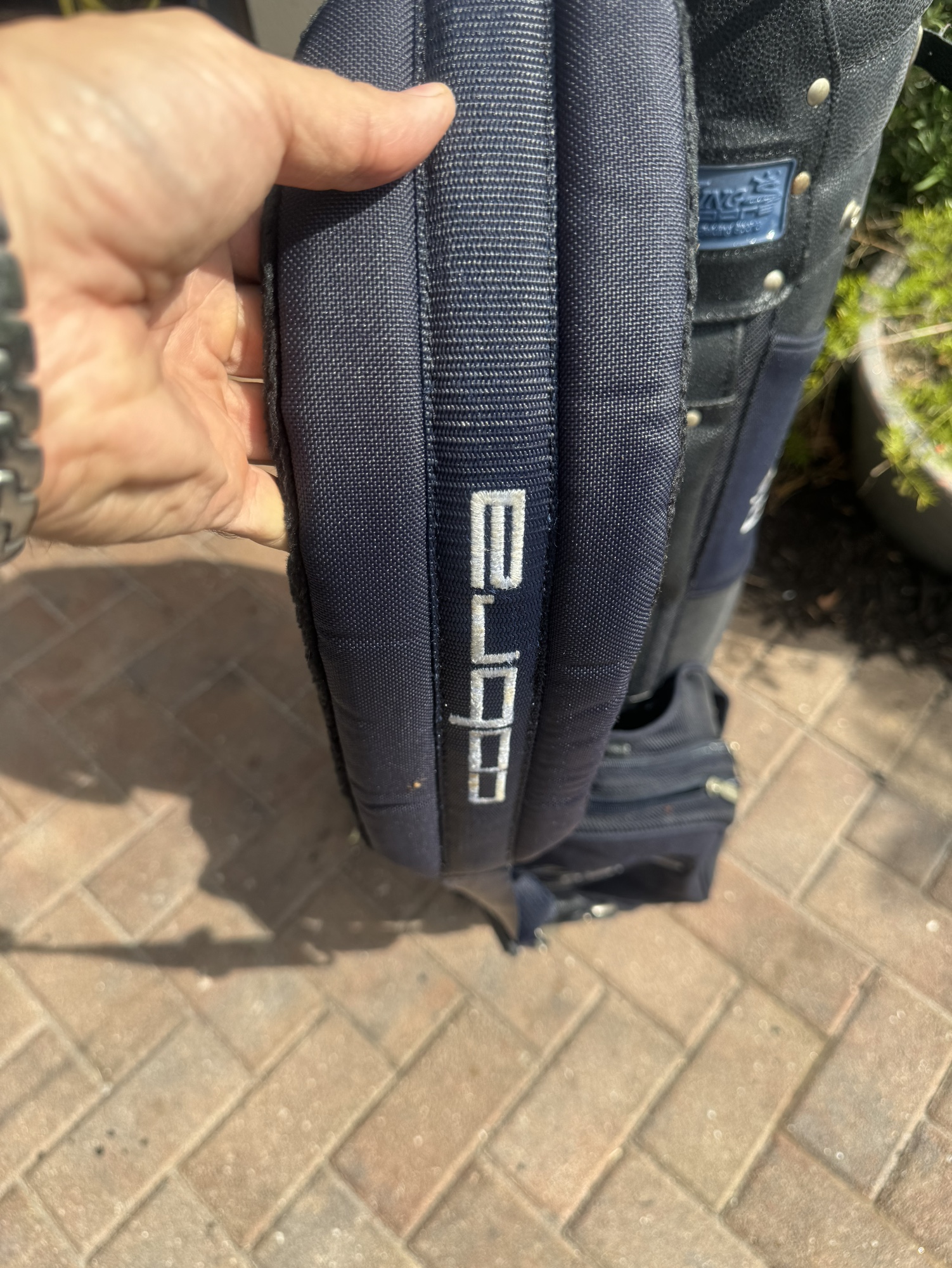 Lady Cobra Golf Cart Bag with club dividers SidelineSwap