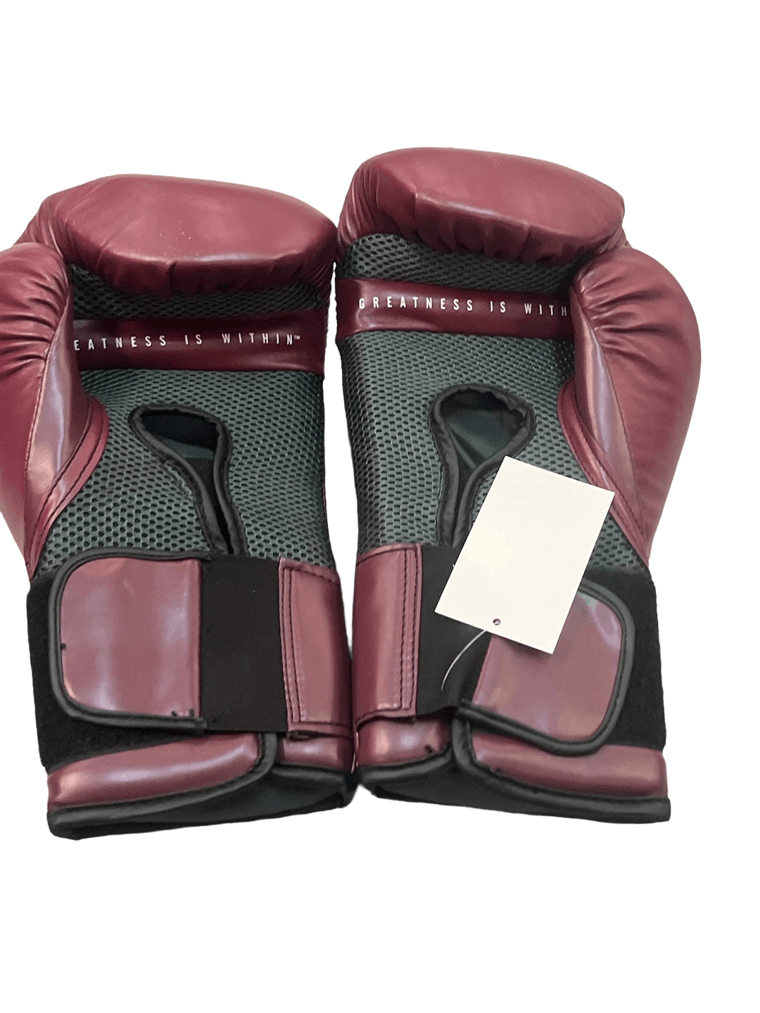 Used Everlast Elite Senior 14 Oz Boxing Gloves SidelineSwap