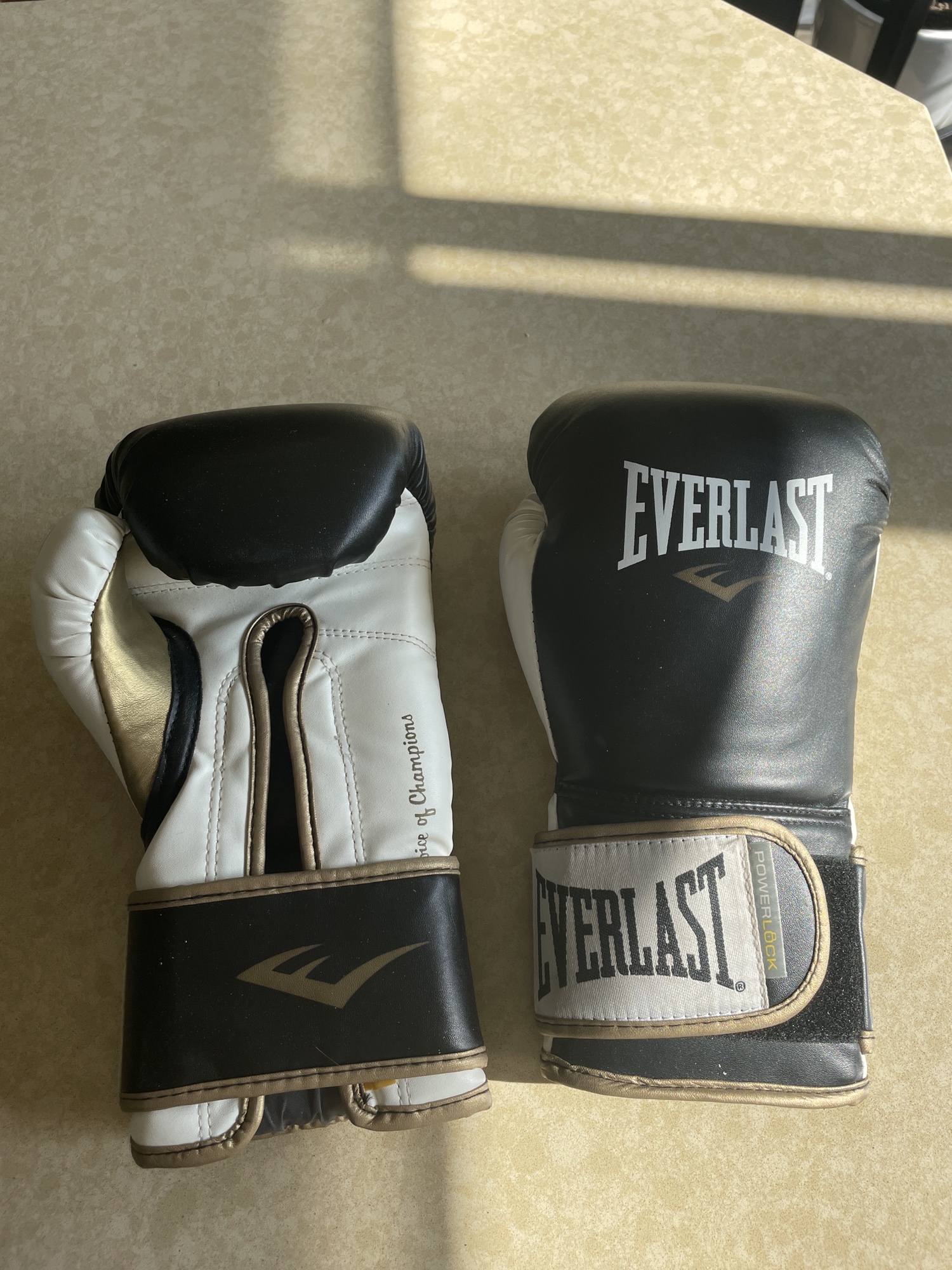 Reflex Bag Everlast PowerLock Speed Bag Pro-Grade Leather (9