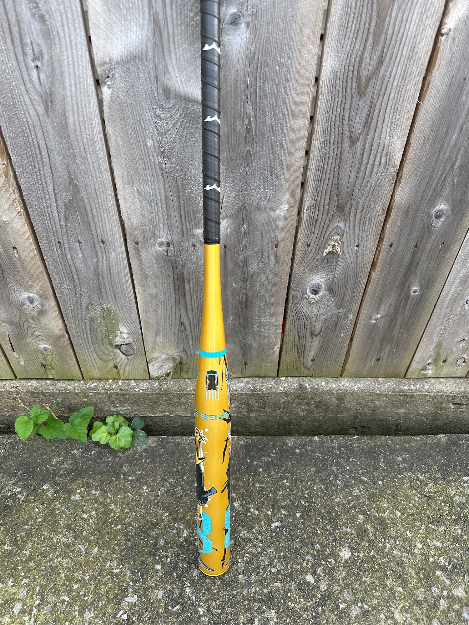 mol-74 ルリタテハ bfb2734fde6e7346_original.jpeg