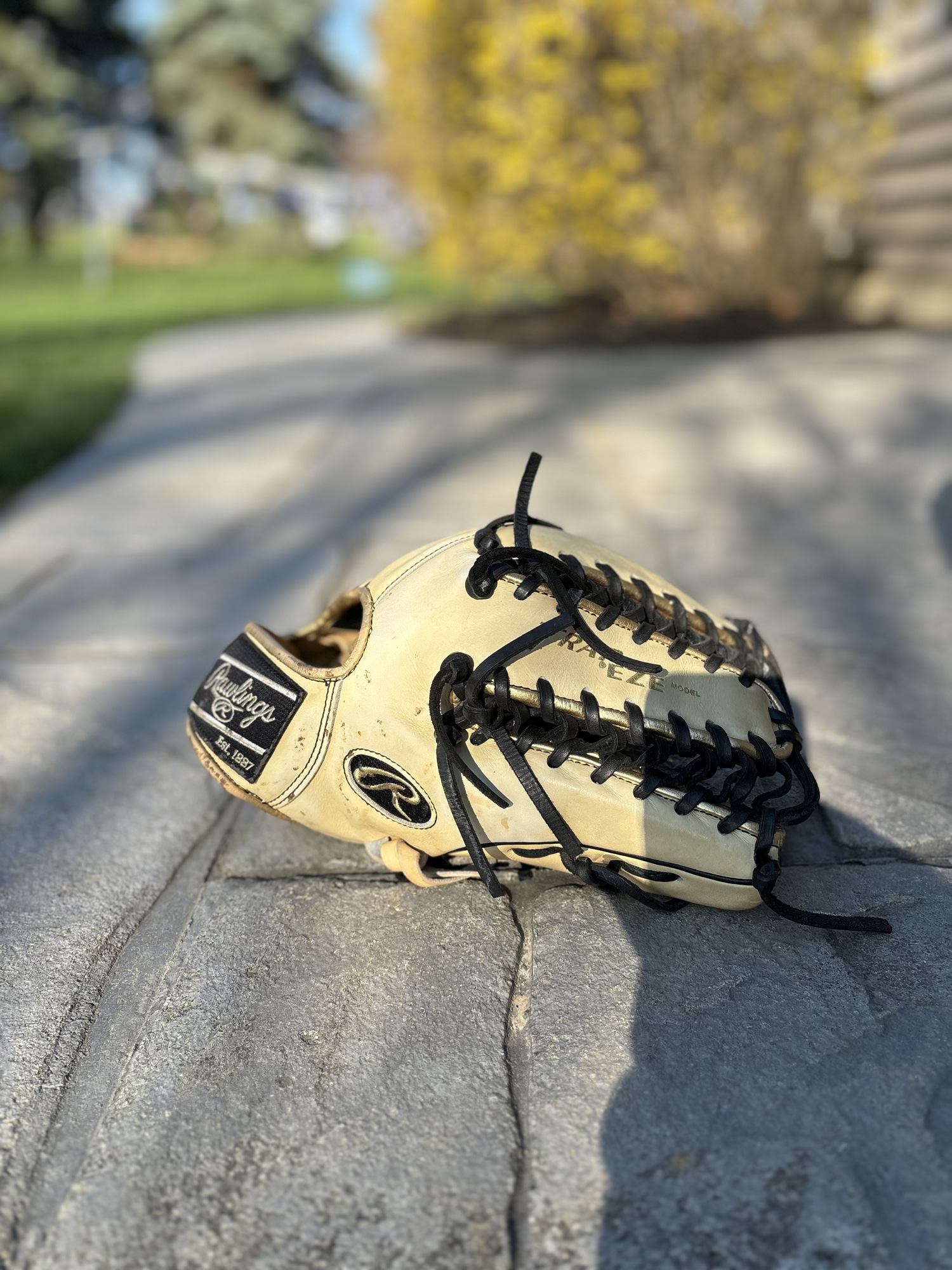 Used Outfield 12.75" Pro Preferred Baseball Glove SidelineSwap