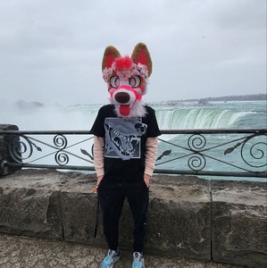 Kodathefox