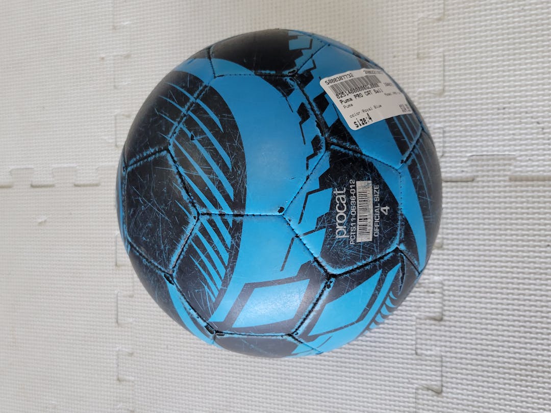 Used Puma Pro Cat 4 Soccer Balls | SidelineSwap