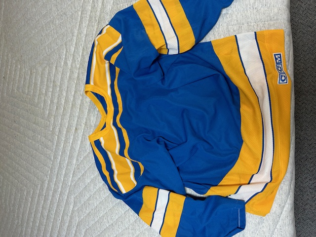 NHL BLUES HOCKEY ピステ プルオーバー CCM 古着 NHL BLUES HOCKEY ピステ プルオーバー CCM 古着 NHL BLUES