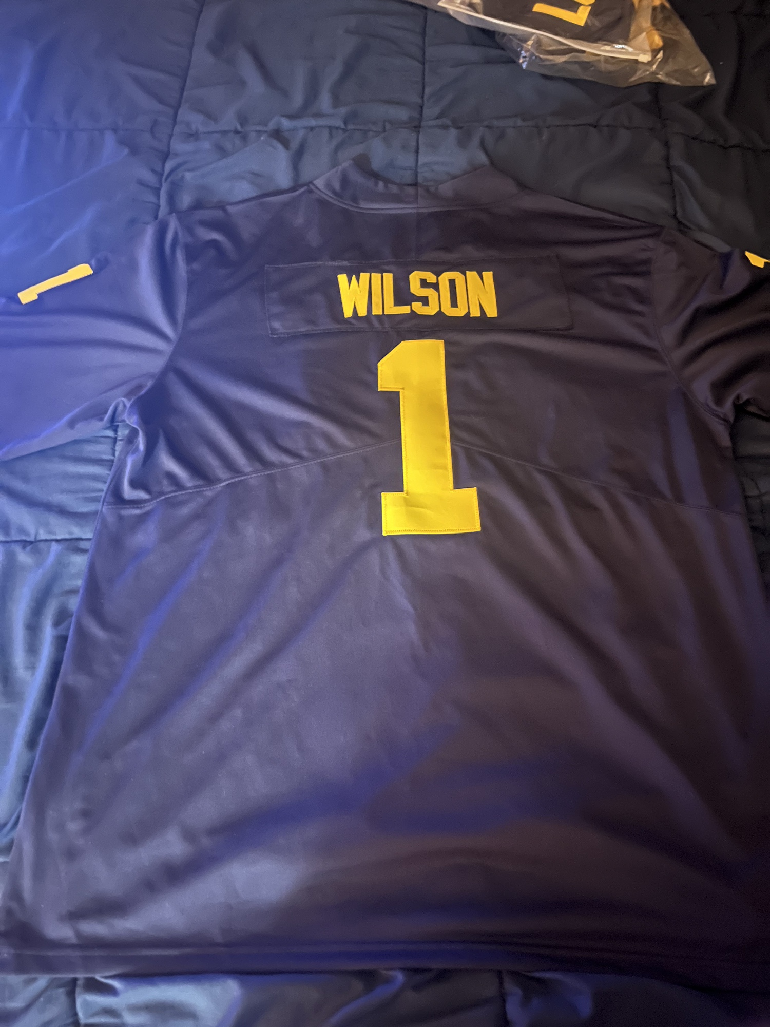 Michigan Wolverines Jerseys New, Preowned, and Vintage