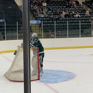 Hockeygoalie3220