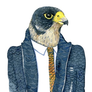 MrPeregrine