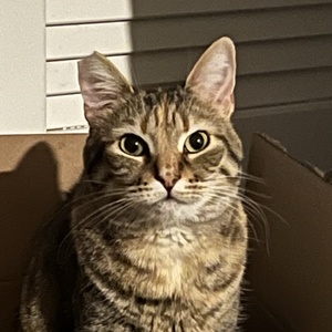 jinyung2