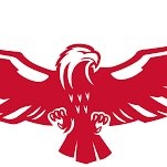 eagle11_strings