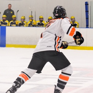 IVhockey7