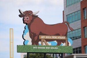 Buckwild460