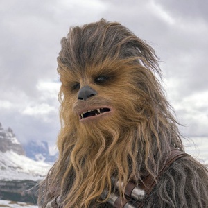 CombTheWookie