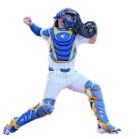 BaseballFreakCA