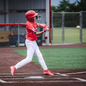 Baseball_mom28