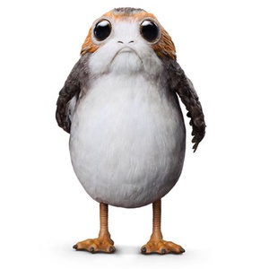 PORG6661