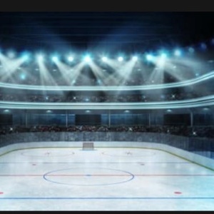 Em_hockey18