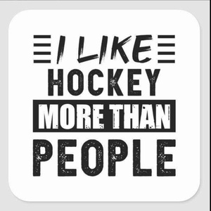 HockeyRocks313