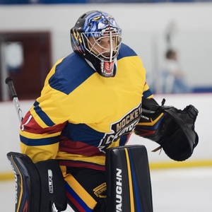 Opgoaliesb