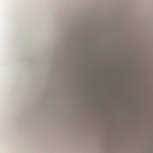 dbisso6